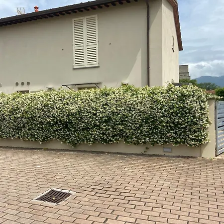 Casa Ariel * Lucca
